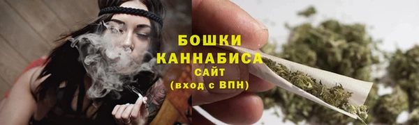 гашик Богданович